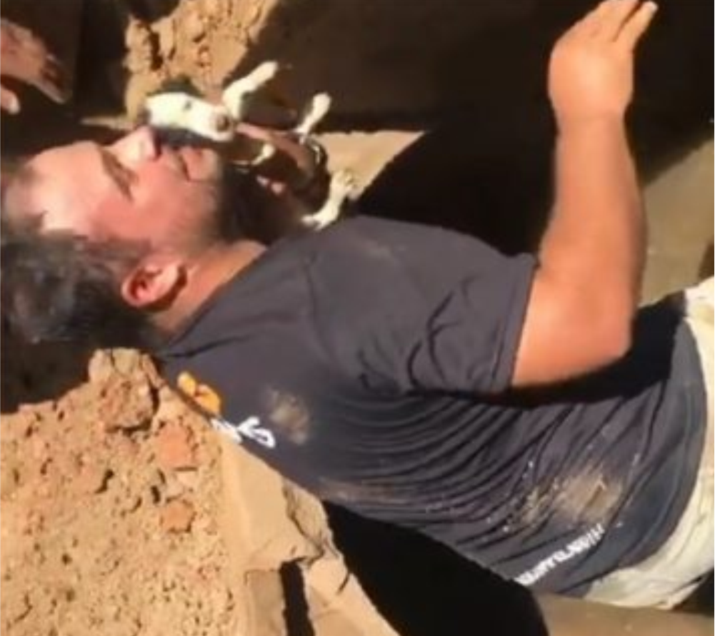 Apams resgata de cachorro que ficou preso em tubulação de bueiro